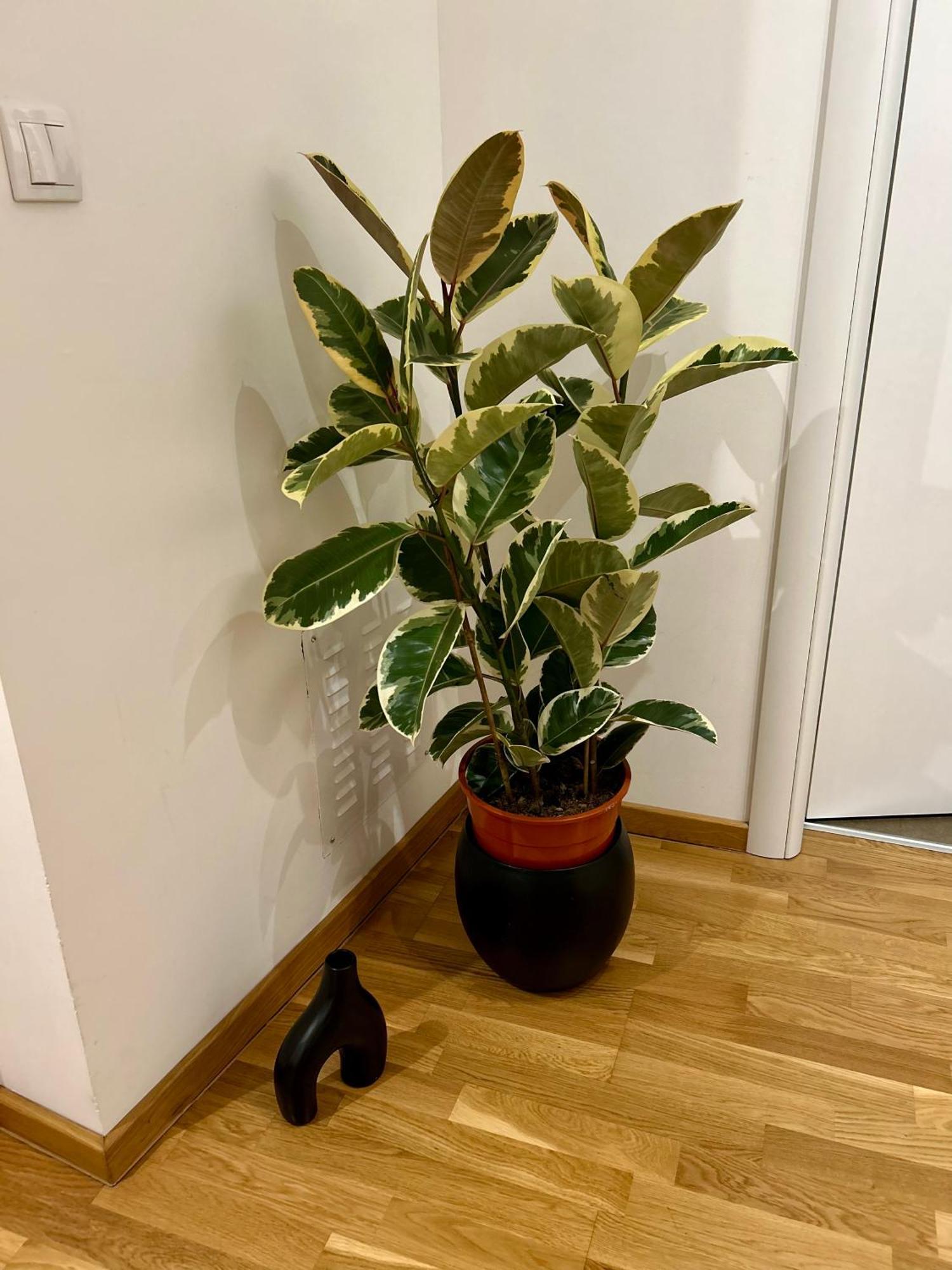 Silversea Apartman Sabac Bagian luar foto